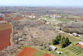 ISTRA, VIŽINADA - Građevinsko zemljište 1714 m2 + 7056 m2 poljoprivredno, Vižinada, Land