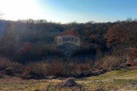 Istra, okolica Kanfanara, Mrgani, veliko zemljište uz rub naselja, Kanfanar, Terreno