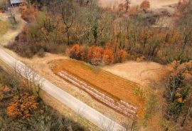 ISTRA, ŽMINJ - Građevinsko zemljište na osamini, Žminj, Zemljište