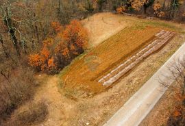 ISTRA, ŽMINJ - Građevinsko zemljište na osamini, Žminj, Zemljište