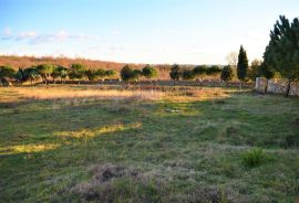 ISTRA, KANFANAR - Kompleks od 2 kuće i 6052 m2 građevinskog zemljišta s pogledom na more, Kanfanar, Casa