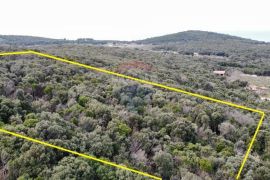 Rovinj,parcela sa otvorenim pogledom na more 4400m2, Rovinj, Land