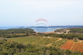 Rovinj,parcela sa otvorenim pogledom na more 4400m2, Rovinj, أرض