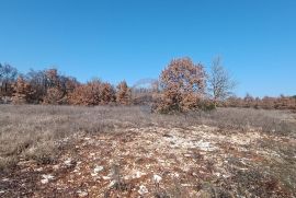 Istra, Svetvinčenat, građevinsko zemljište ugostiteljsko turističke namjene, Svetvinčenat, Land