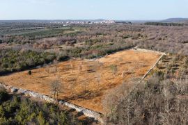 BALE - Poljoprivredno zemljište sa suhozidom 11470 m2, Bale, Γη