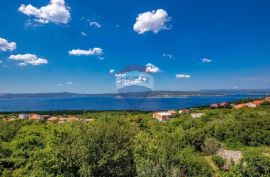 Crikvenica, Crikvenica - kuća sa 3 stana, bazenom i uhodanom turističkom djelatnošću, Crikvenica, Kuća