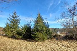 Završje - građevinsko/poljoprivredni teren 8650 m2, Brod Moravice, Terreno