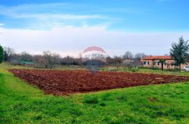 Poreč, okolica - Građevinsko zemljište, potrebna parcelacija, Poreč, Land