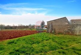 Poreč, okolica - Građevinsko zemljište, potrebna parcelacija, Poreč, Land