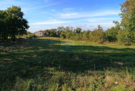 Sveti Lovreč - okolica, građevinsko i poljoprivredno zemljište na mirnoj lokaciji, Tinjan, Γη