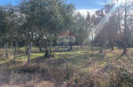 Istra, Poreč, građevinsko zemljište od 1050 m2 na atraktivnoj lokaciji i 500 m2 od  mora, Poreč, Land