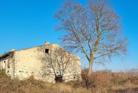 ISTRA - BALE OKOLICA - 3500 m2 GRAĐEVINSKO ZEMLJIŠTE SA KUĆOM, Bale, Famiglia