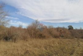 Istra, Žbandaj, poljoprivredno zemljište 18 045 m2, Poreč, Tierra