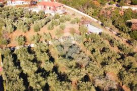 Rovinj,hacienda,3 kuće,11 000m2,pogled more, Rovinj, Kuća