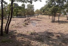 Istra,Juršići,građevinska zemljišta na lijepoj lokaciji, Svetvinčenat, Terrain