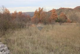 Istra,okolica Momjana, građevinski teren, Buje, Land