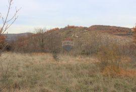 Istra,okolica Momjana, građevinski teren, Buje, Land