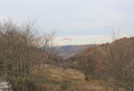 Istra,okolica Momjana, građevinski teren, Buje, Land