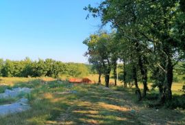 Kringa, okolica,  građevinsko zemljište s poslovnim prostorom ugostiteljsko-turističke namjene, Tinjan, Land