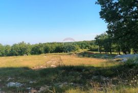 Kringa, okolica,  građevinsko zemljište s poslovnim prostorom ugostiteljsko-turističke namjene, Tinjan, Land