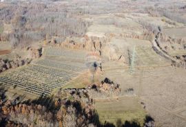 ISTRA, NEDEŠĆINA - Poljoprivredno zemljište 9824 m2, Sveta Nedelja, Land