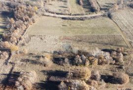 ISTRA, NEDEŠĆINA - Poljoprivredno zemljište 9824 m2, Sveta Nedelja, Land