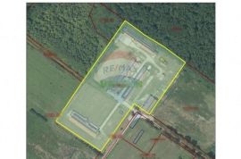 Velika Gorica, okolica, farma peradi, poljoprivredno zemljište ukupne površine 26.160 m2, Velika Gorica - Okolica, Propiedad comercial