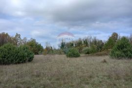 Istra, blizina istočne obale, Krnica, poljoprivredno zemljište u blizini mjesta, Marčana, Terrain