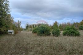 Istra, blizina istočne obale, Krnica, poljoprivredno zemljište u blizini mjesta, Marčana, Terrain