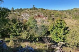 Trviž, zemljište turističke namjene 14374 m2, Pazin - Okolica, Land