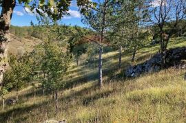 Trviž, zemljište turističke namjene 14374 m2, Pazin - Okolica, Land