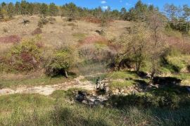 Trviž, zemljište turističke namjene 14374 m2, Pazin - Okolica, Land