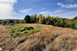 Istra, građevinsko zemljište u okolici Motovuna, Karojba, Terreno