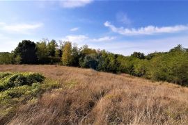 Istra, građevinsko zemljište u okolici Motovuna, Karojba, Terreno