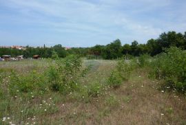 Poreč-Varvari, Lijepo poljoprivredno zemljište s pristupnim putem, Poreč, Terrain