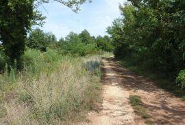 Poreč-Varvari, Lijepo poljoprivredno zemljište s pristupnim putem, Poreč, Terrain