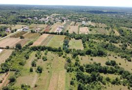 ISTRA, SVETVINČENAT - EKSKLUZIVNO - Građevinsko zemljište za turističko naselje - 20 postelja, Svetvinčenat, Terra