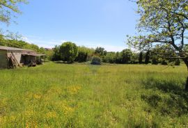 Kaštelir, prelijepa parcela usred bujnog zelenila, Kaštelir-Labinci, Land