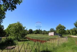 Kaštelir, prelijepa parcela usred bujnog zelenila, Kaštelir-Labinci, Land