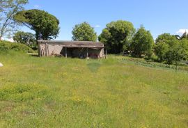 Kaštelir, prelijepa parcela usred bujnog zelenila, Kaštelir-Labinci, Land