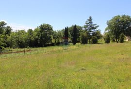 Kaštelir, prelijepa parcela usred bujnog zelenila, Kaštelir-Labinci, Land