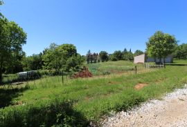 Kaštelir, prelijepa parcela usred bujnog zelenila, Kaštelir-Labinci, Land