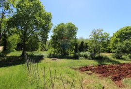 Kaštelir, prelijepa parcela usred bujnog zelenila, Kaštelir-Labinci, Land