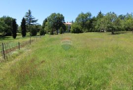 Kaštelir, prelijepa parcela usred bujnog zelenila, Kaštelir-Labinci, Land