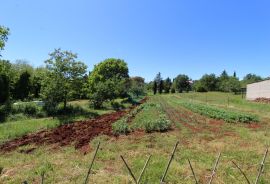 Kaštelir, prelijepa parcela usred bujnog zelenila, Kaštelir-Labinci, Land