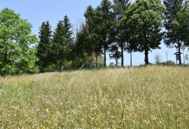 Gorski Kotar - Moravice  ( građevinski teren), Vrbovsko, Terrain