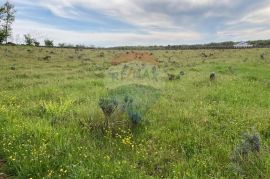 Poreč, okolica, poljoprivredno zemljište 30000m2, Poreč, Γη