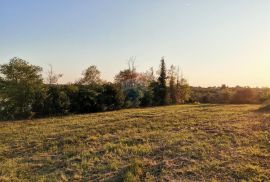 Istra, Brtonigla - Građevinsko zemljište sa blagim pogledom na more, Brtonigla, أرض