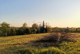 Istra, Brtonigla - Građevinsko zemljište sa blagim pogledom na more, Brtonigla, أرض