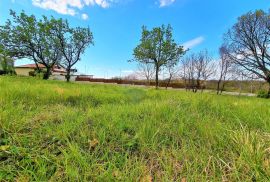 Istra,Brtonigla-Građevinske parcele na rubnom dijelu grada, Brtonigla, Land